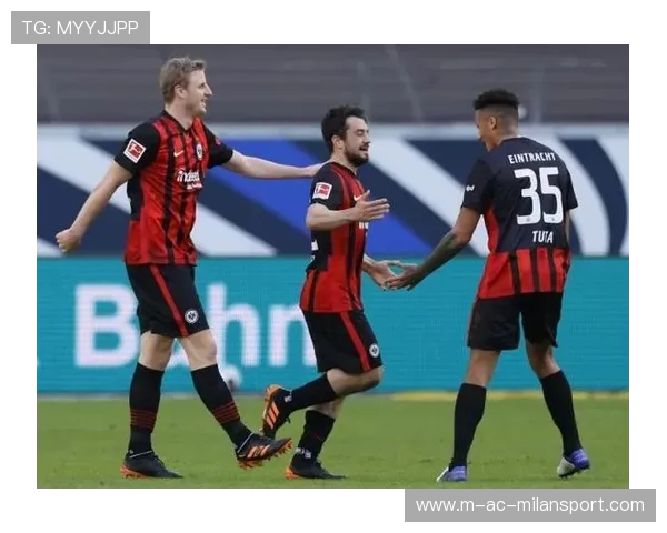 拜仁准备购入法甲中后场平衡点，开启实力新篇章